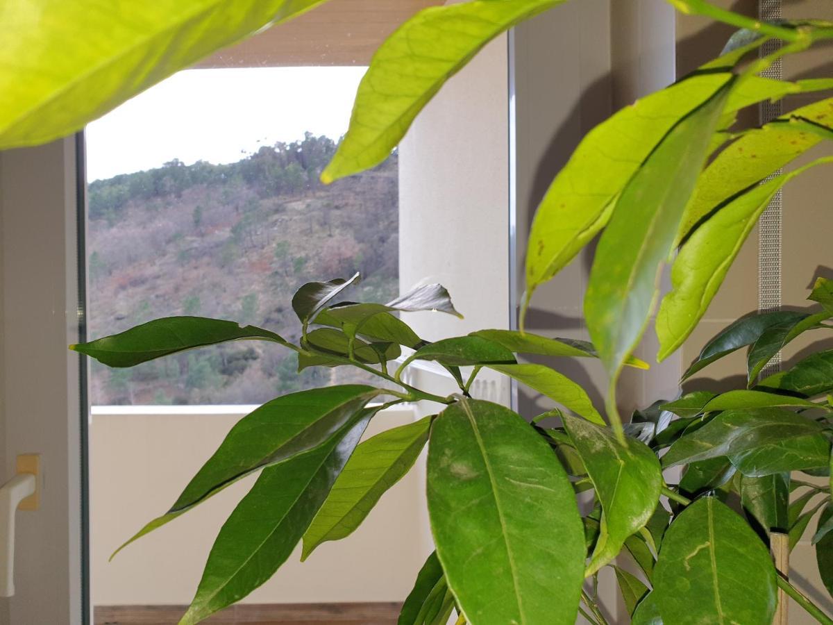 Appartamento Altavista Penthouse T2 Covilhã Esterno foto
